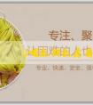 「代孕代懷機構」哺乳期乳房有哪些問題？如何進行按摩？